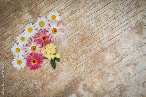 Flat lay image featuring various daisy flowers on wood grain background