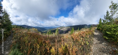 Replanted Forest and Logging in the Cascades with Trail Panorama 2