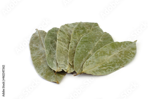 Dried graviola leaves on white background