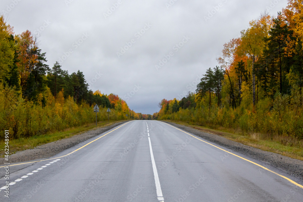 Autumn track on the border of the Khanty-Mansiysk Autonomous Okrug and the Sverdlovsk Region in Russia. A beautiful road in the fall between the Khanty-Mansi Autonomous Okrug and the Sverdlovsk Region