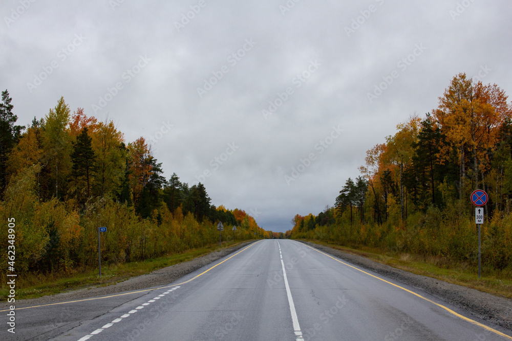 Autumn track on the border of the Khanty-Mansiysk Autonomous Okrug and the Sverdlovsk Region in Russia. A beautiful road in the fall between the Khanty-Mansi Autonomous Okrug and the Sverdlovsk Region
