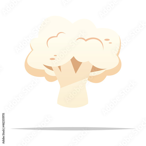 Single cauliflower vector isolated illustration