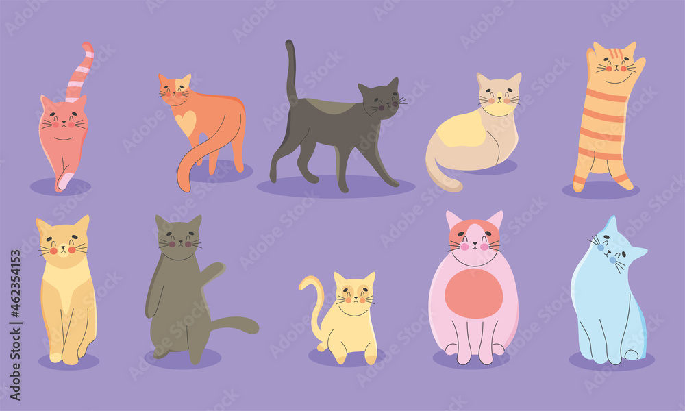 adorable cats set