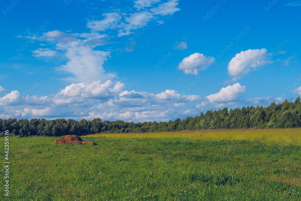 Summer field grass with hay in the middle. Meadow picturesque summer landscape with clouds on blue marvelous sky view background. Green grassland countryside stock photo. Summer field grass with hay in the middle. Meadow picturesque summer landscape with clouds on blue marvelous sky view background. Green grassland countryside stock photo.