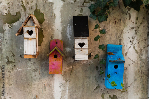 Group of four colorful cute wooden bird houses hanging on a gray wall