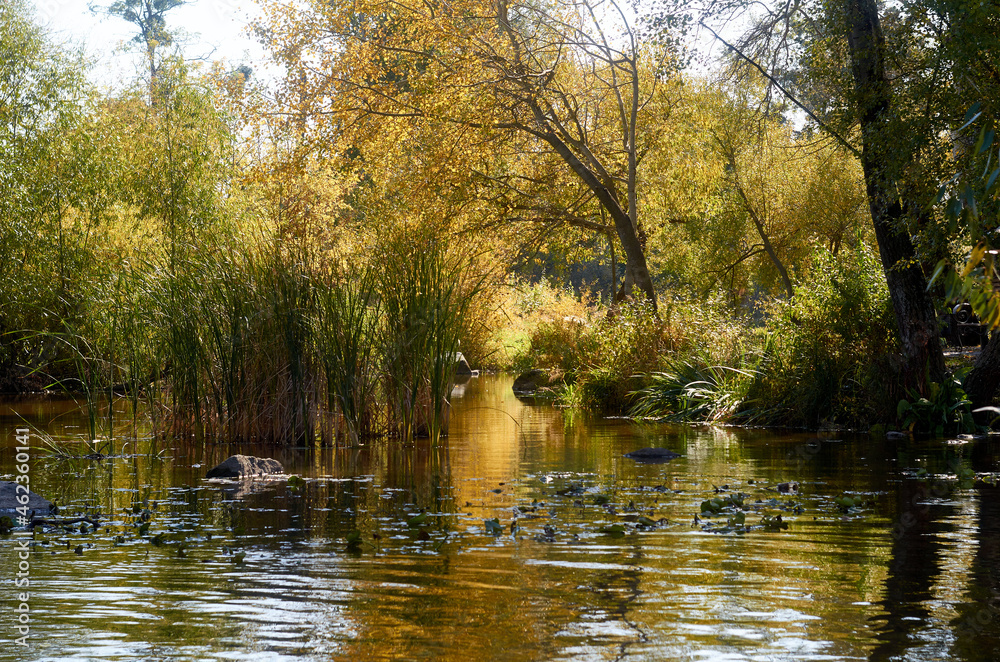 Calm river near the park in autumn Calm river near the park in autumn