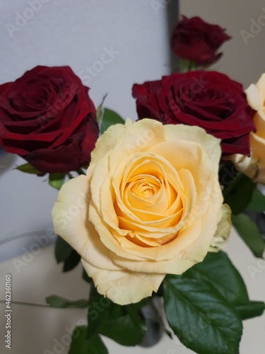 bunch of roses