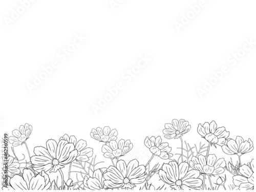 コスモスの線画フレーム①下部_アップ_黒