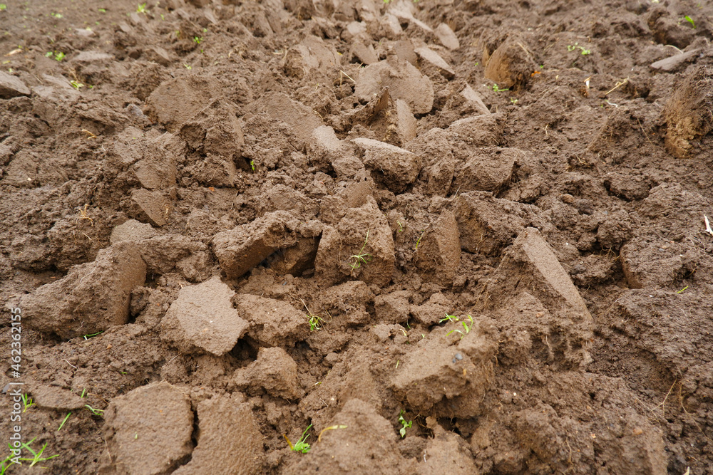 Freshly plowed, unseeded field with moist soil, large fraction. Natural backgrounds, texture. Virgin land. Processing of fields in autumn or spring.Agricultural industry. Freshly plowed, unseeded field with moist soil, large fraction. Natural backgrounds, texture. Virgin land. Processing of fields in autumn or spring.Agricultural industry.