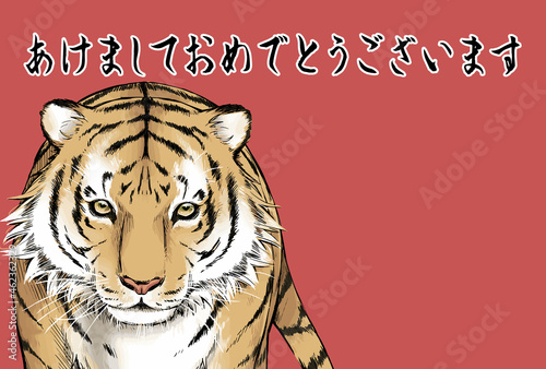 2022年　年賀状　寅
