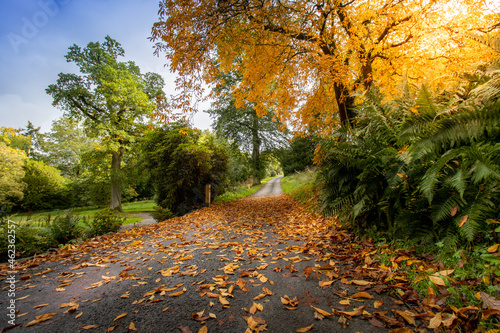 Hillsborough castle walk autumn colours county Down Northern Ireland UK photo