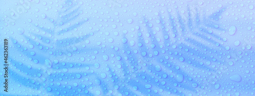 banner pastel background with water drops with fern shadow