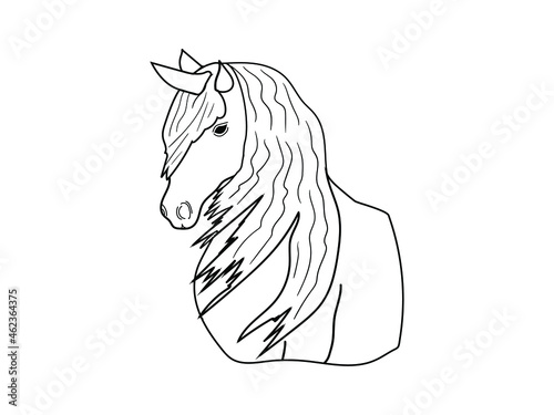 Horse graphic sketch. Mystical character unicorn in black and white color.