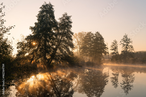 Fototapeta Naklejka Na Ścianę i Meble -  Jesienny pejzaż nad wodą.  Mgły, drzewa, promienie słońca, rzeka. Staw w Białej na rzece Czerniawce, Gmina Zgierz