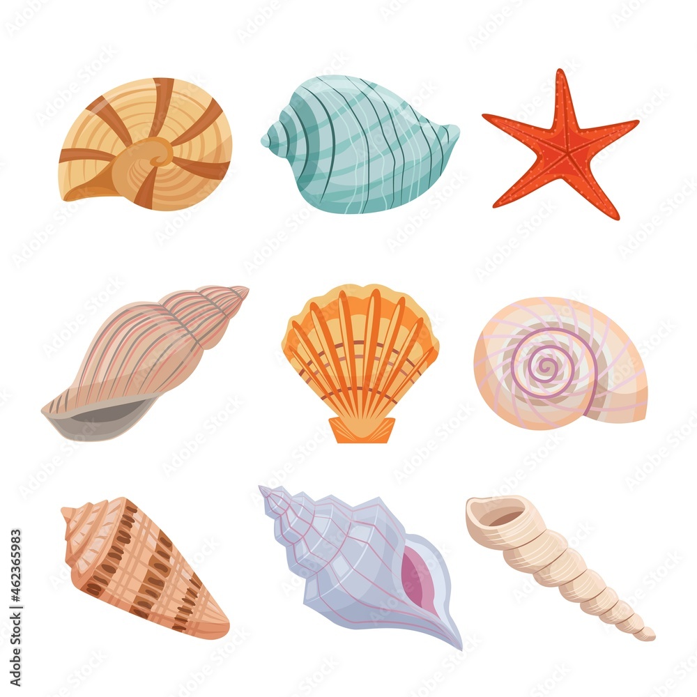 Colorful sea shells set. Starfish and spiral oyster with fancy tracery decoration of interior and fashionable aquarium bright shells of mollusks from ocean floor. Cartoon exotic vector. Colorful sea shells set. Starfish and spiral oyster with fancy tracery decoration of interior and fashionable aquarium bright shells of mollusks from ocean floor. Cartoon exotic vector.