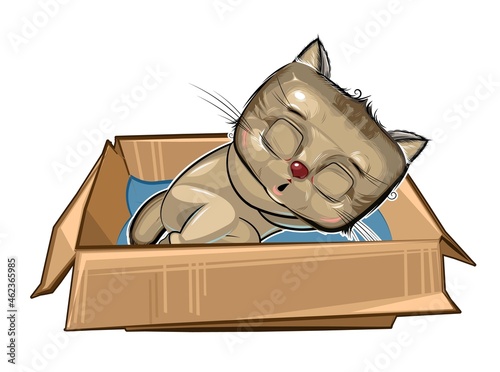 The Kitten sleeps in a cardboard box. A pet as a gift or a homeless person. Childrens illustration. The cute animal fell asleep. Picture in cartoon style. Isolated on white background. Vector