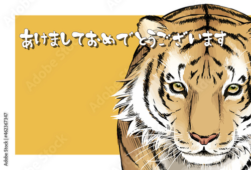 2022年　年賀状　寅