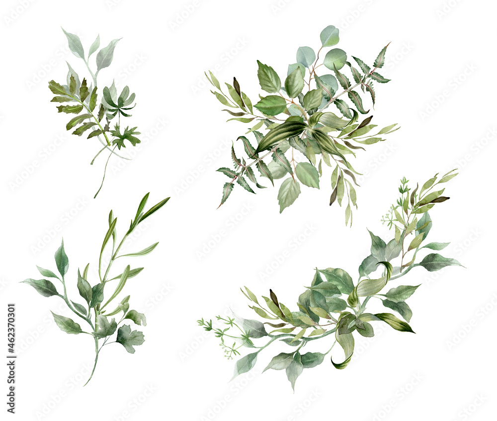 Watercolor greenery. Green floral. Eucalyptus leaves, wedding bouquet. Branches, twigs, foliage for elegant card and invitation