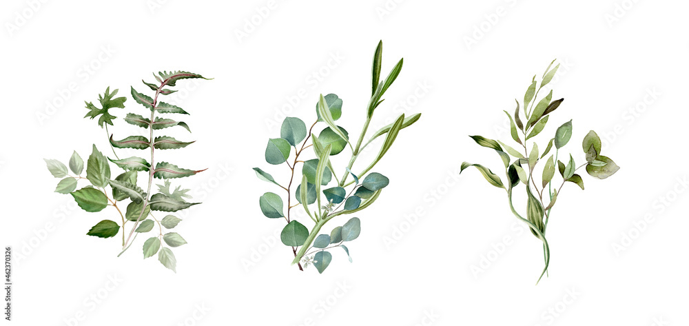 Watercolor greenery. Green floral. Eucalyptus leaves, wedding bouquet. Branches, twigs, foliage for elegant card and invitation