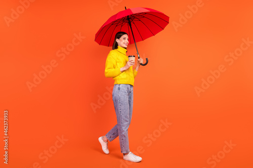 Full size profile side photo of young woman happy smile walk rain wet umbrella coffee takeaway isolated over orange color background