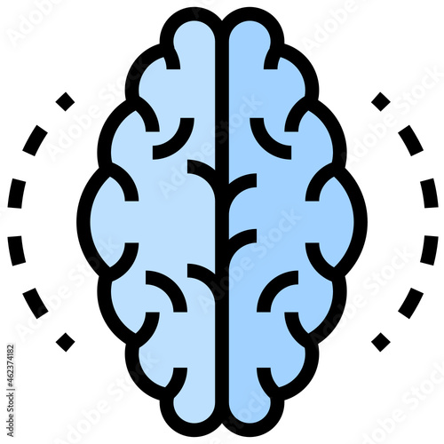 Brain
