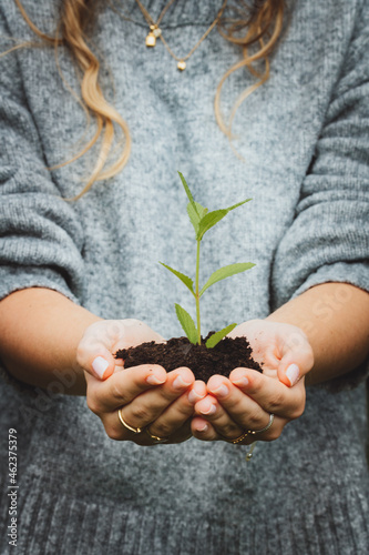 Female gardener holding a sapling with soil. teenager holding a green plant in her hands. Growth concept.