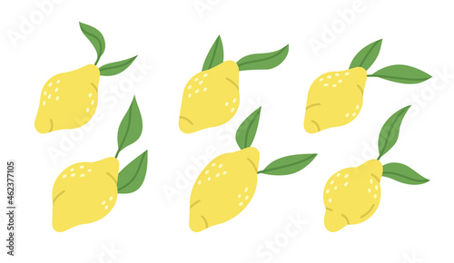 Doodle lemon fruits. Fresh yellow citrus, vitamin c sour taste fruits. Hand drawn citrus fruits cartoon vector illustration icons set
