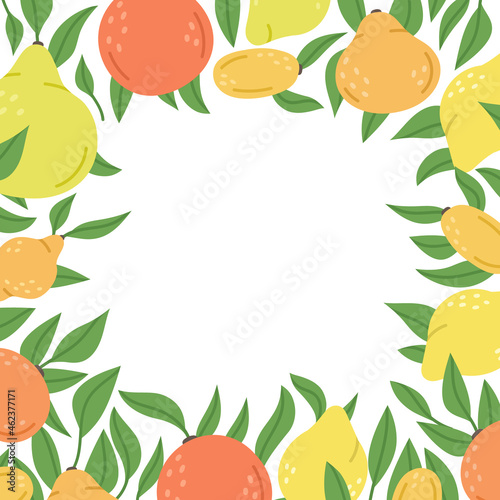 Hand drawn citrus fruits frame. Lemon  orange  lime  yuzu and kumquat sour taste fruits. Doodle organic vitamin c citrus fruits vector background illustration