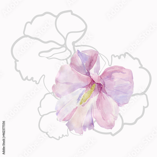 Watercolor flower on a white and colored background.Seamless pattern. © svemar
