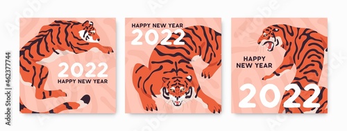 Happy New Year cards designs with tiger, Chinese zodiac symbol of 2022. Squar...