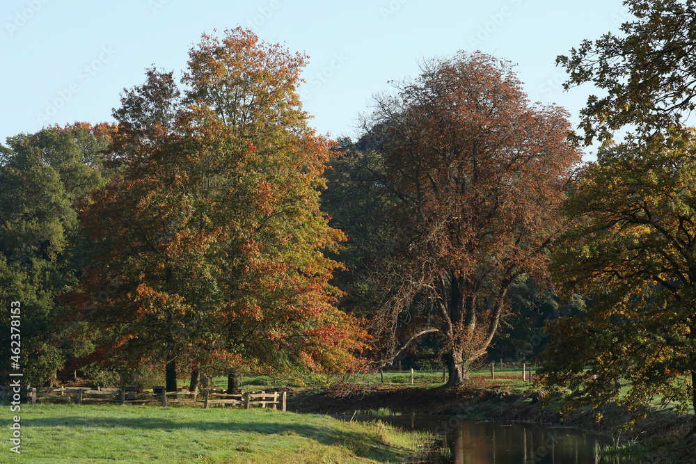 A creek, fields and a forest on a sunny day in autumn

