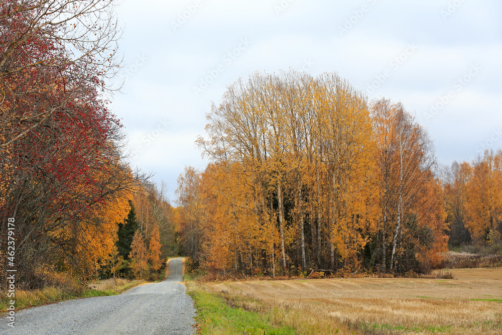 Small country road leads through fields and woodland. Autumn has colored trees with yellow and red Small country road leads through fields and woodland. Autumn has colored trees with yellow and red