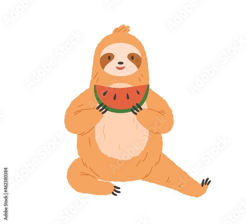 Cute sloth eating watermelon. Happy funny animal sitting and holding sweet fruit slice in paws. Charming smiling character resting with food. Flat vector illustration isolated on white background