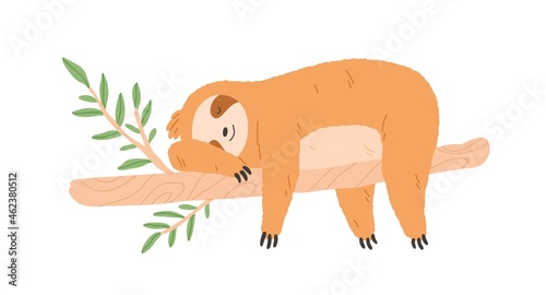 Sleepy lazy sloth sleeping on tree branch. Cute happy animal lying. Asleep baby character relaxing and resting with paws hanging down. Flat vector illustration isolated on white background