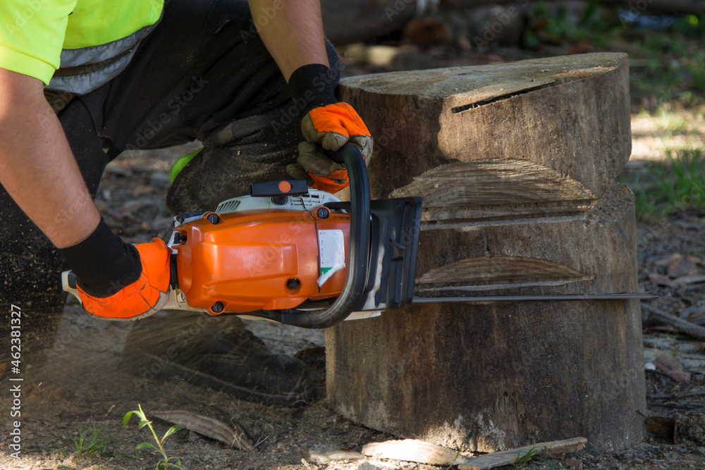 lumberjack or forestry worker cutting or felling tree trunk with chainsaw