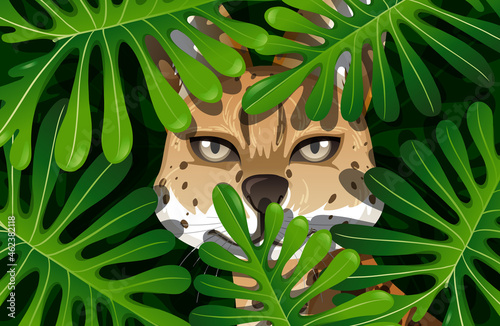 Caracal hidden in the jungle