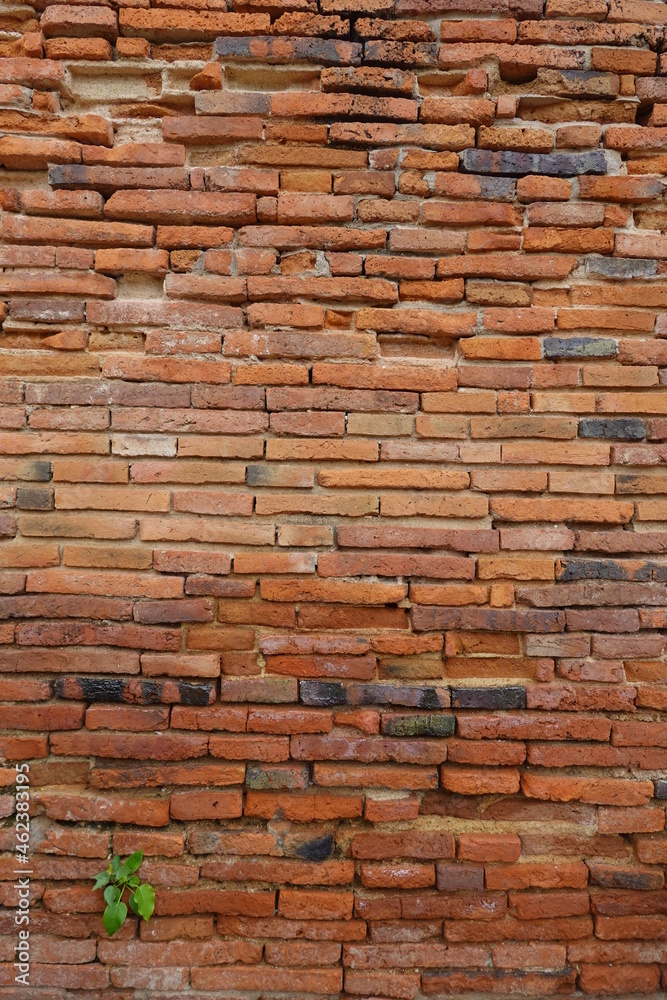 Fototapeta premium Wall paper form Brick Ayutthaya