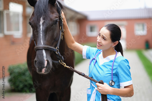 Woman veterinary doctor holding thoroughbred horse by bridle in stable and stroking head