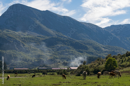 Caballos y vacas pastando por un prado verde en el campo en la localidad de Burón (Castilla y León, España).