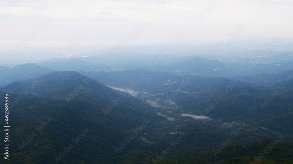 Obraz premium landscape with fog
