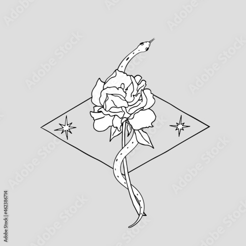 Vintage Gold and Black Mystic snake coiled around the rose flower. Serpent and rose illustration drawing print