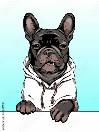 French bulldog  illustration. Angry dog ​​sketch. Image for printing on any surface	
