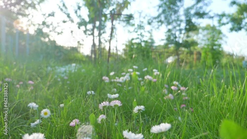 Wallpaper Mural Ornamental garden in dolly shot in slow motion 180fps Torontodigital.ca
