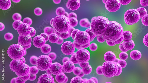 Canvas Print Bacteria Pediococcus, 3D illustration.