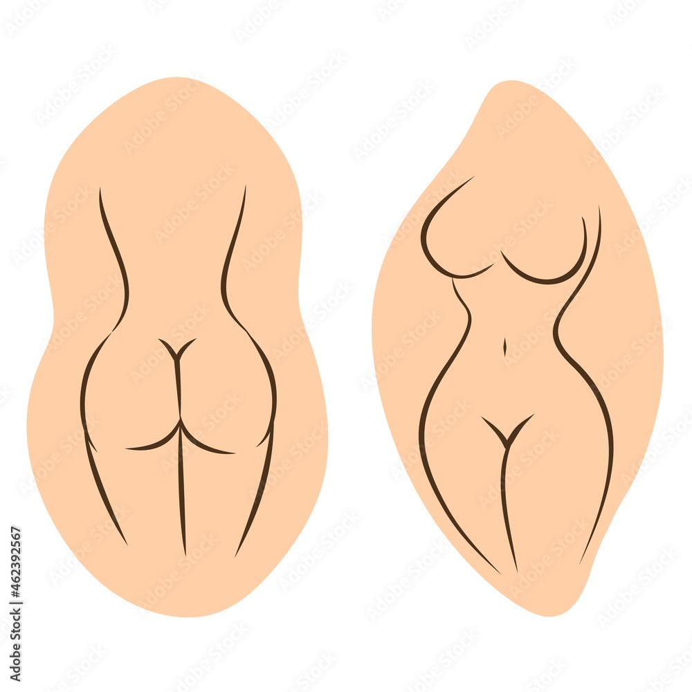 Naked female figure. Rear and front view. The outline of a slender figure. Stylized slim body. Vector illustration. Naked female figure. Rear and front view. The outline of a slender figure. Stylized slim body. Vector illustration.