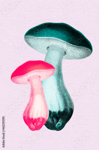 Collage retro aesthetic mushroom vector, negative effect neon mixed media art