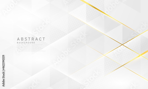 Abstract white and gray background with gorgeous golden line decoration.