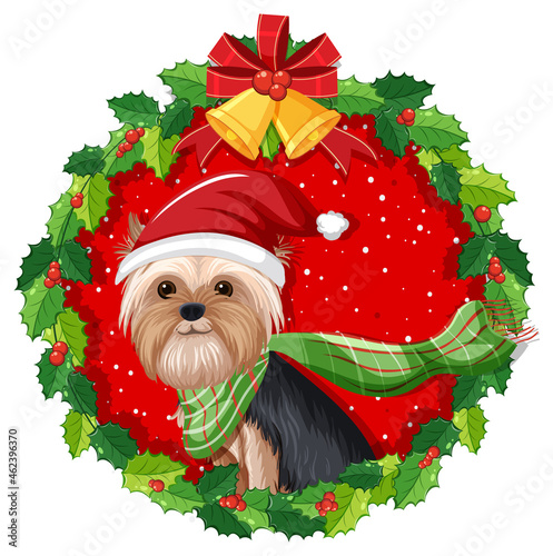 Cute Yorkshire Terrier dog in Christmas wreath isolated