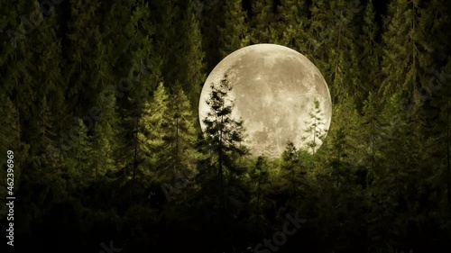 The Moon in the Forest photo