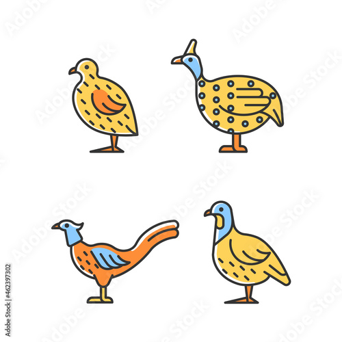 Landfowl RGB color icons set. Japanese quail. Pheasant family. Guinea fowl. Domesticated birds. Commercial poultry farming. Isolated vector illustrations. Simple filled line drawings collection
